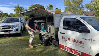 Pest Control Brisbane: Practical Protection Against Termites and Pest Birds