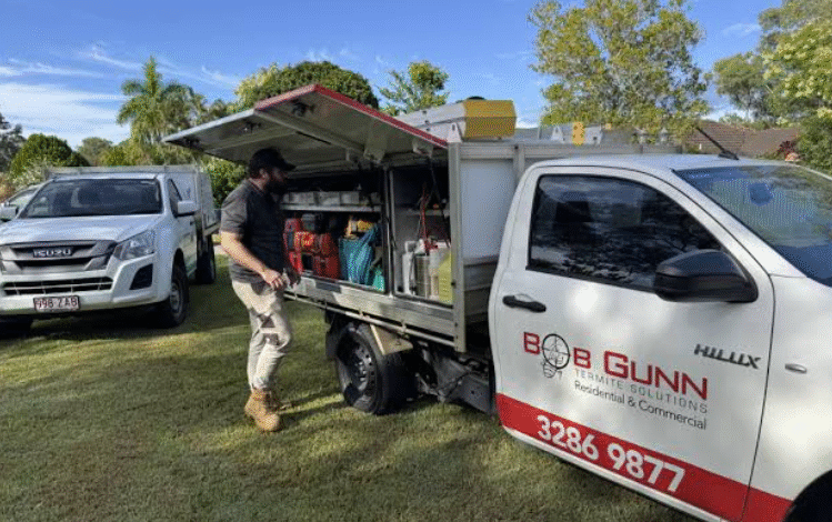 Pest Control Brisbane: Practical Protection Against Termites and Pest Birds