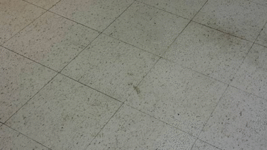 Safe Handling Procedures for Asbestos Floor Tiles and Adhesives