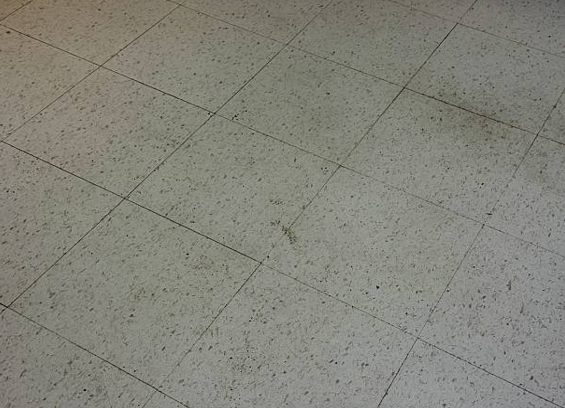 Safe Handling Procedures for Asbestos Floor Tiles and Adhesives