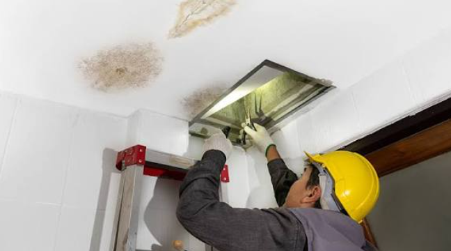 Why Does Water Damage Keep Coming Back After You Clean It Up?